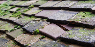 Bedgrove roof repair costs